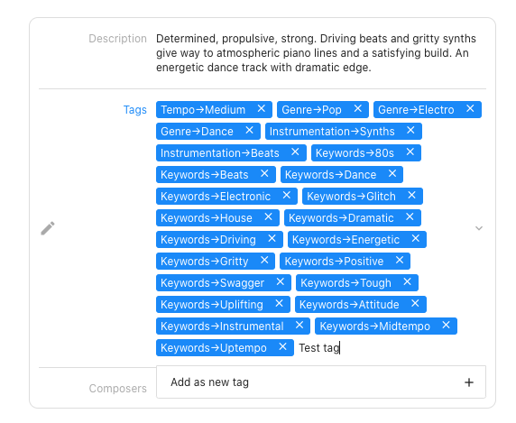 New tag created within a track edit panel